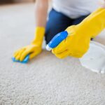 5 Ways To Choose The Right Carpet Cleaner