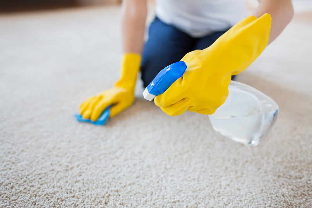 5 Ways To Choose The Right Carpet Cleaner